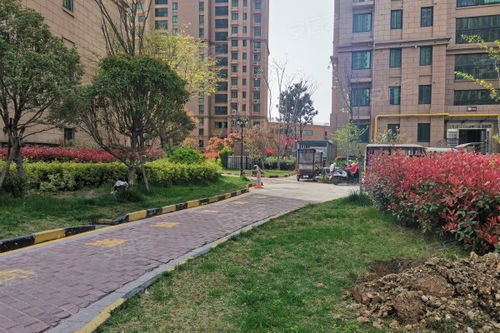 天中國際優(yōu)點 不足,天中國際怎么樣,天中國際周邊房產中介經紀人評價 駐馬店安居客