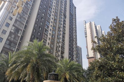 城南故事優(yōu)點 不足,城南故事怎么樣,城南故事周邊房產中介經紀人評價