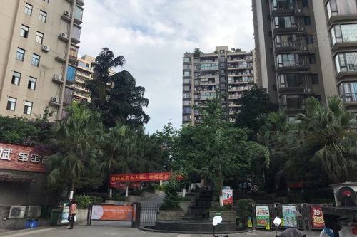 廣廈城巢上 二期 優點 不足,廣廈城巢上 二期 怎么樣,廣廈城巢上 二期 周邊房產中介經紀人評價