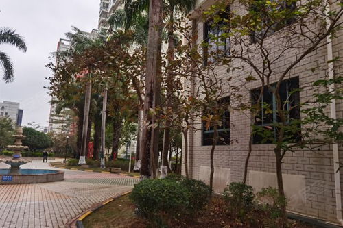 藍島康城優點 不足,藍島康城怎么樣,藍島康城周邊房產中介經紀人評價