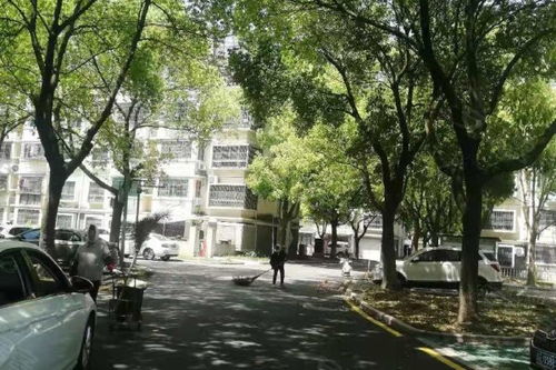 大唐花苑 南區 優點 不足,大唐花苑 南區 怎么樣,大唐花苑 南區 周邊房產中介經紀人評價 昆山安居客