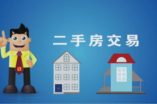 福建莆田 千畝紫菜獲豐收