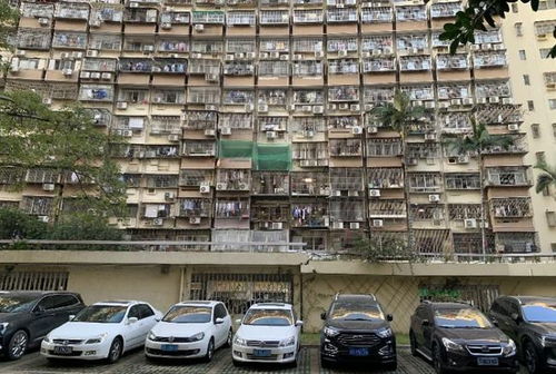 裁員關店 生意蕭條 單邊代理 行業劇變的2021年 那些房產中介都去了哪里