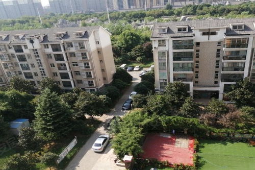 翠堤春曉 東區 優點 不足,翠堤春曉 東區 怎么樣,翠堤春曉 東區 周邊房產中介經紀人評價