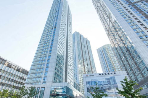 星海大觀優點 不足,星海大觀怎么樣,星海大觀周邊房產中介經紀人評價