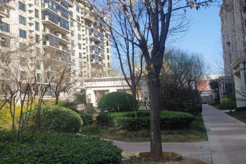 鑫界王府優(yōu)點(diǎn) 不足,鑫界王府怎么樣,鑫界王府周邊房產(chǎn)中介經(jīng)紀(jì)人評價(jià)