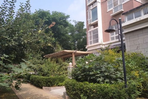 海信盈城優(yōu)點(diǎn) 不足,海信盈城怎么樣,海信盈城周邊房產(chǎn)中介經(jīng)紀(jì)人評價(jià)