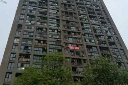 金悅城 東區 優點 不足,金悅城 東區 怎么樣,金悅城 東區 周邊房產中介經紀人評價