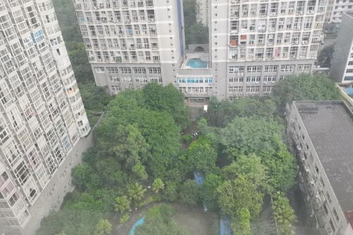 新銳地帶優點 不足,新銳地帶怎么樣,新銳地帶周邊房產中介經紀人評價