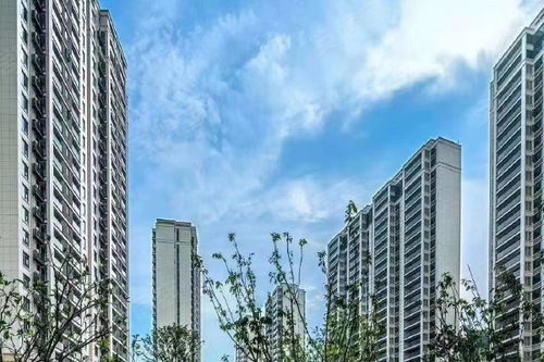 中天雅境公寓優點 不足,中天雅境公寓怎么樣,中天雅境公寓周邊房產中介經紀人評價 杭州安居客