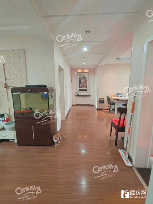 濱江國際2期,生活中心附近,多層三室兩廳兩衛,精裝修,南北通透,戶型方正,兩室一廳朝陽,證滿五年且唯 滕州二手房出售