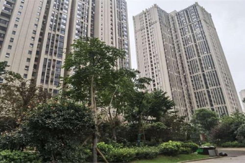 天鴻天府優(yōu)點 不足,天鴻天府怎么樣,天鴻天府周邊房產(chǎn)中介經(jīng)紀人評價