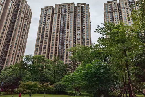 成華奧園廣場 二期 優點 不足,成華奧園廣場 二期 怎么樣,成華奧園廣場 二期 周邊房產中介經紀人評價