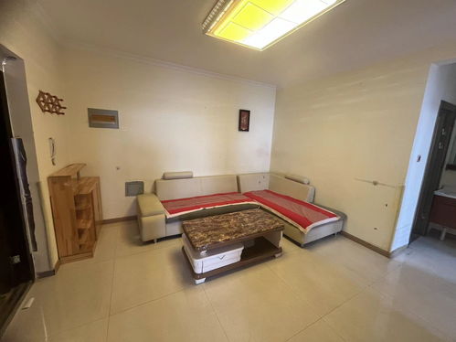 邯鄲精裝兩居 包更名 采光無遮擋 三天必賣好房 二手房 精裝兩居 包更名 采光無遮擋 三天必賣好房