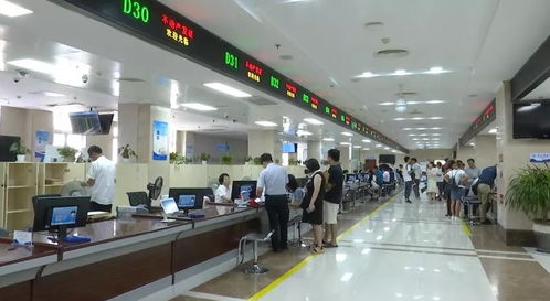 最多跑一次 一 鍵 接入 市區二手房交易登記又出新樣本