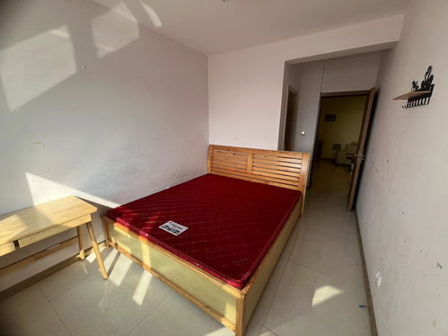 邯鄲精裝兩居 包更名 采光無(wú)遮擋 三天必賣(mài)好房 二手房 精裝兩居 包更名 采光無(wú)遮擋 三天必賣(mài)好房