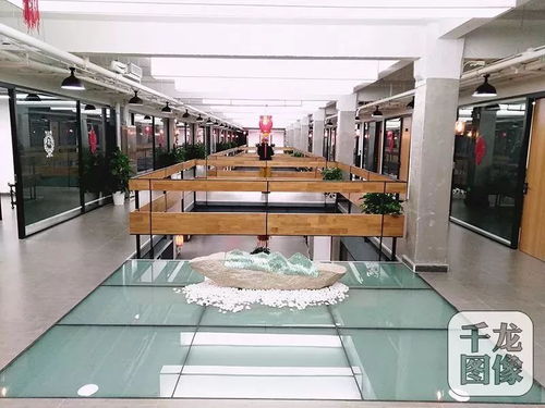 又一處舊工業(yè)遺存廠房成功轉(zhuǎn)型,造塑料的老國(guó)企變身文創(chuàng)園