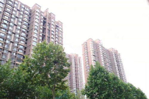 豐奧嘉園 南區 優點 不足,豐奧嘉園 南區 怎么樣,豐奧嘉園 南區 周邊房產中介經紀人評價