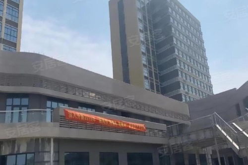 臨港17區優點 不足,臨港17區怎么樣,臨港17區周邊房產中介經紀人評價