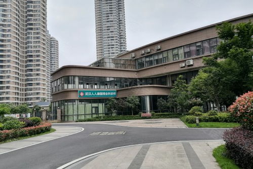 國博新城翹楚居優點 不足,國博新城翹楚居怎么樣,國博新城翹楚居周邊房產中介經紀人評價 武漢安居客