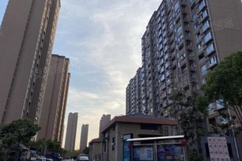 和家欣苑b區優點 不足,和家欣苑b區怎么樣,和家欣苑b區周邊房產中介經紀人評價