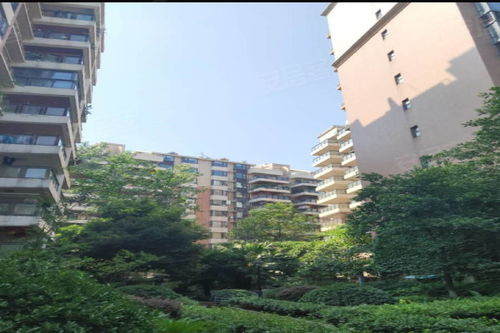 美洲花園優點 不足,美洲花園怎么樣,美洲花園周邊房產中介經紀人評價