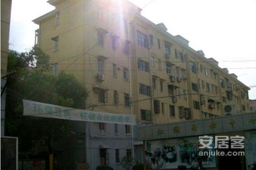 虹儲小區優點 不足,虹儲小區怎么樣,虹儲小區周邊房產中介經紀人評價