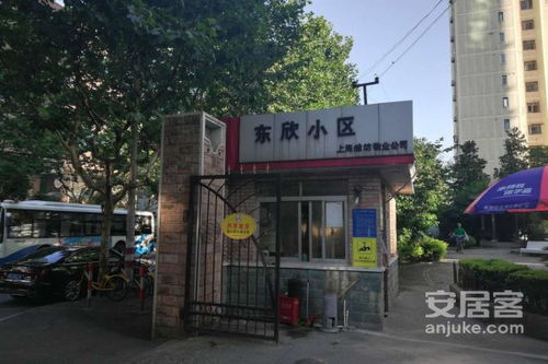 東欣小區(qū)優(yōu)點(diǎn) 不足,東欣小區(qū)怎么樣,東欣小區(qū)周邊房產(chǎn)中介經(jīng)紀(jì)人評(píng)價(jià)