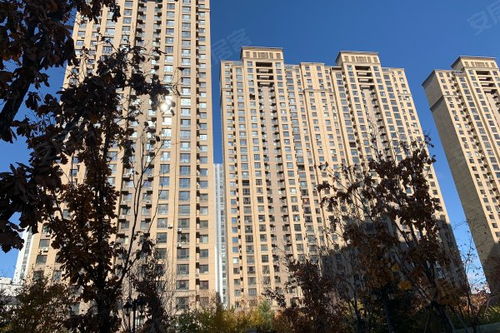 吾悅?cè)A府綜合評析 優(yōu)點與不足，以及中介服務(wù)與市場反饋